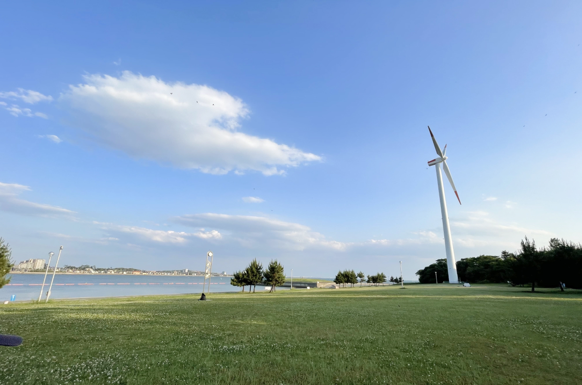 画像：公園と風車